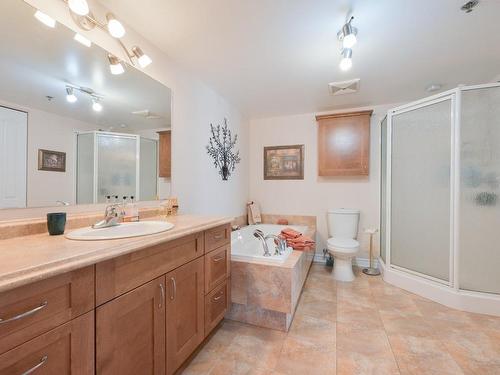 Bathroom - 218-1945 Rue Adoncour, Longueuil (Le Vieux-Longueuil), QC - Indoor Photo Showing Bathroom