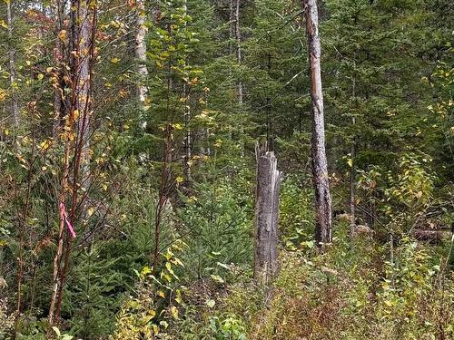 Terre/Terrain - Rue Du Lac-Wilson, Grenville-Sur-La-Rouge, QC 