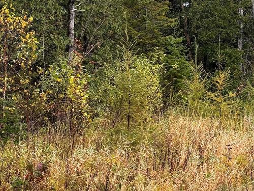 Terre/Terrain - Rue Du Lac-Wilson, Grenville-Sur-La-Rouge, QC 