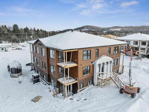 Frontage - 1-610 Rue Du Ruisseau, Mont-Tremblant, QC - Outdoor