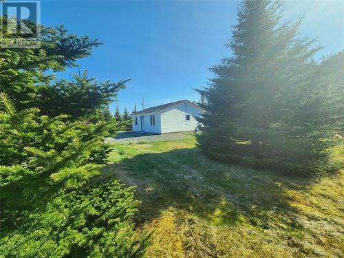 620 Bauline East Road, Bauline East, NL - Outdoor