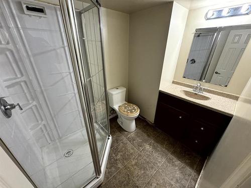 525 Mcbain Street, Thunder Bay, ON - Indoor Photo Showing Bathroom