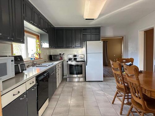 318 Manitoba Street, Schreiber, ON - Indoor Photo Showing Kitchen With Double Sink