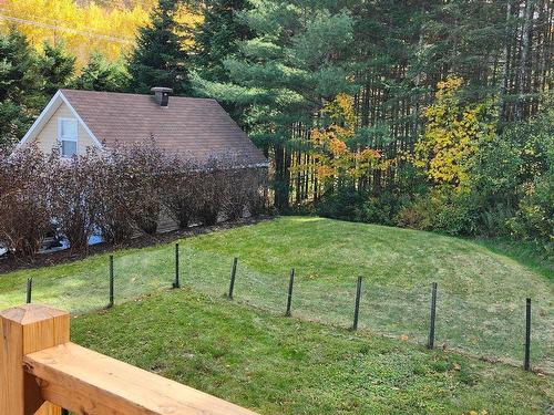 Backyard - 971  - 971A Ch. De La Montagne, Sainte-Agathe-Des-Monts, QC - Outdoor