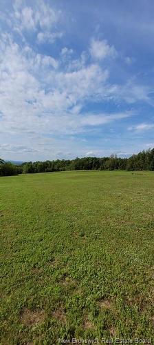 Lot Old Houlton Rd, Richmond Settlement, NB 