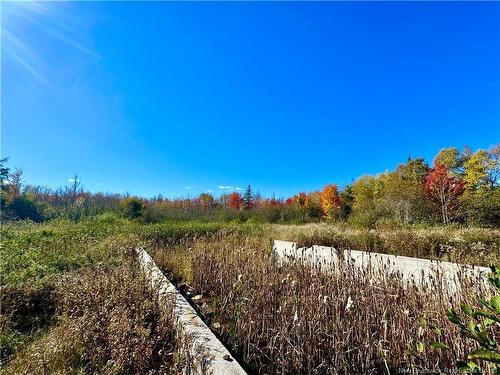 8249 Rte 117, Black River Bridge, NB 