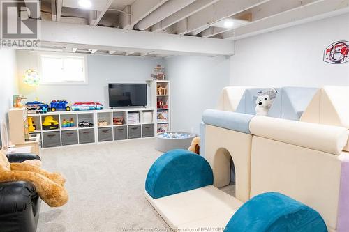 1102 Second Concession Road North, Amherstburg, ON - Indoor Photo Showing Basement