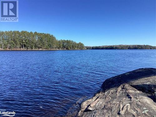 38 Hawkins Point Road, Georgian Bay, ON 