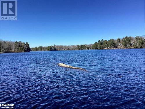 38 Hawkins Point Road, Georgian Bay, ON 