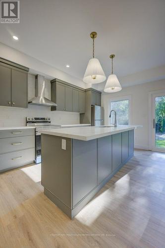 20 Stanley Avenue, Kitchener, ON - Indoor Photo Showing Kitchen With Upgraded Kitchen