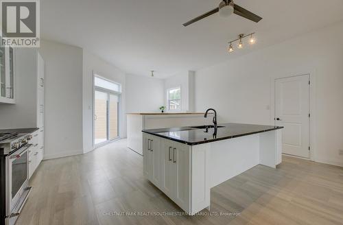 149 Woolwich Street, Waterloo, ON - Indoor Photo Showing Kitchen