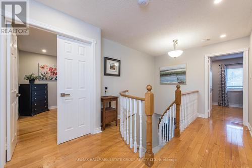 5 Cochrane Avenue, Brampton, ON - Indoor Photo Showing Other Room