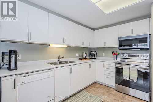 202 - 105 Bagot Street, Guelph, ON - Indoor Photo Showing Kitchen With Double Sink