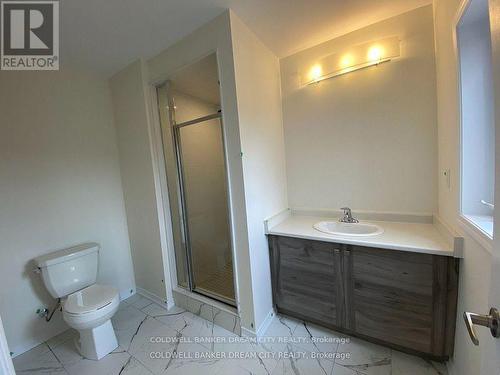 227 Gillespie Drive, Brantford, ON - Indoor Photo Showing Bathroom