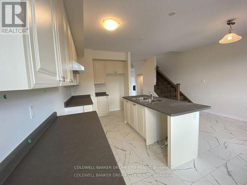 227 Gillespie Drive, Brantford, ON - Indoor Photo Showing Kitchen With Double Sink