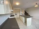 227 Gillespie Drive, Brantford, ON  - Indoor Photo Showing Kitchen With Double Sink 