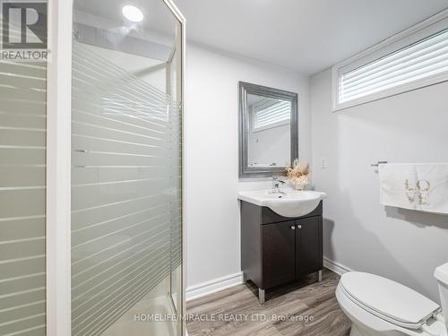 521 Oneida Drive, Burlington, ON - Indoor Photo Showing Bathroom