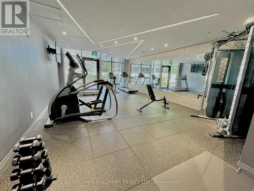 221 - 621 Sheppard Avenue E, Toronto, ON - Indoor Photo Showing Gym Room