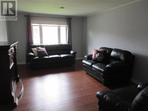 61 Eltero Park, Bishop'S Falls, NL - Indoor Photo Showing Living Room