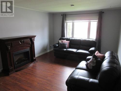 61 Eltero Park, Bishop'S Falls, NL - Indoor Photo Showing Living Room With Fireplace