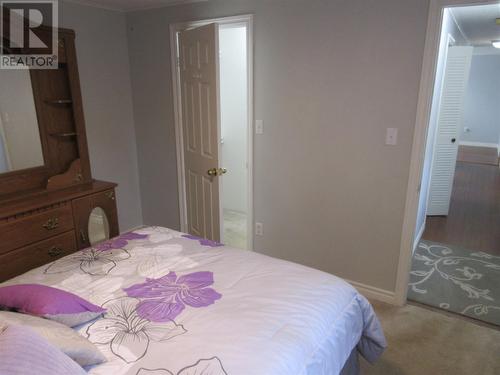 61 Eltero Park, Bishop'S Falls, NL - Indoor Photo Showing Bedroom