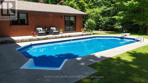 429 Round Lake Road, Havelock-Belmont-Methuen, ON - Outdoor With In Ground Pool With Backyard