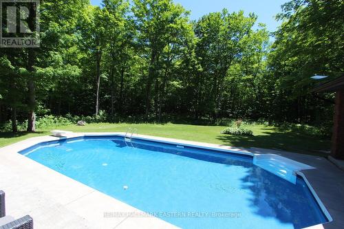 429 Round Lake Road, Havelock-Belmont-Methuen, ON - Outdoor With In Ground Pool With Backyard