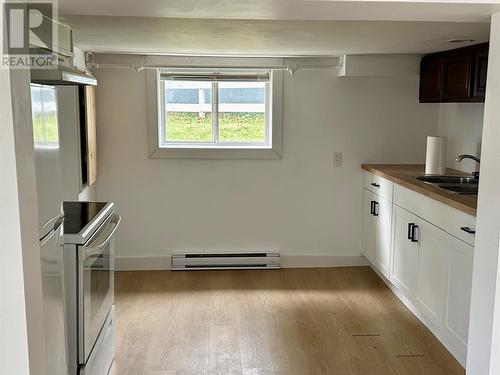 114 Campbell Avenue, St. John'S, NL - Indoor Photo Showing Kitchen With Double Sink