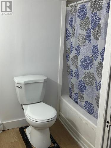 114 Campbell Avenue, St. John'S, NL - Indoor Photo Showing Bathroom