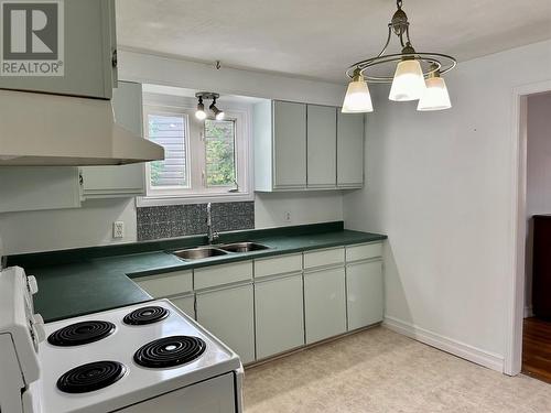 114 Campbell Avenue, St. John'S, NL - Indoor Photo Showing Kitchen With Double Sink