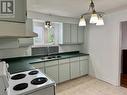 114 Campbell Avenue, St. John'S, NL  - Indoor Photo Showing Kitchen With Double Sink 