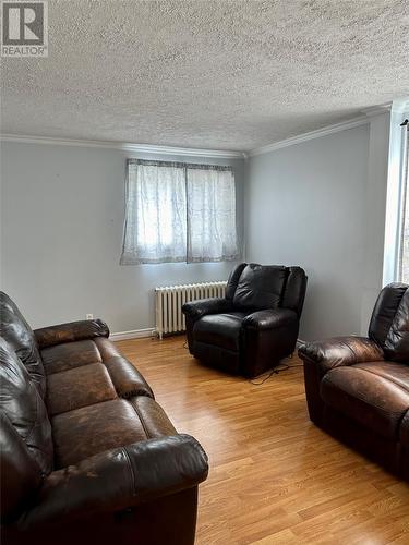 114 Campbell Avenue, St. John'S, NL - Indoor Photo Showing Living Room