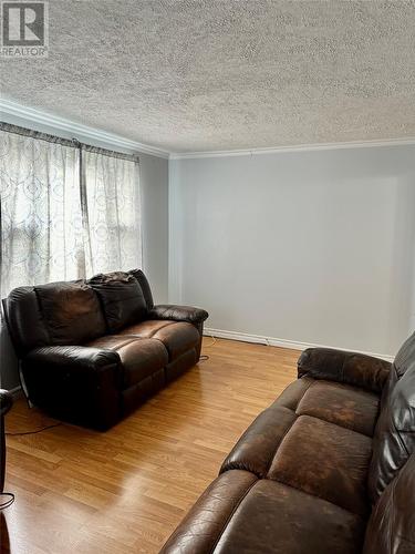 114 Campbell Avenue, St. John'S, NL - Indoor Photo Showing Living Room