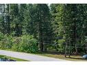 576C Habart Road, Golden, BC 