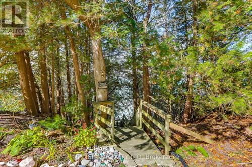 Stairs to beach - 71641 Old Cedarbank Lane, Bluewater (Dashwood), ON - Outdoor