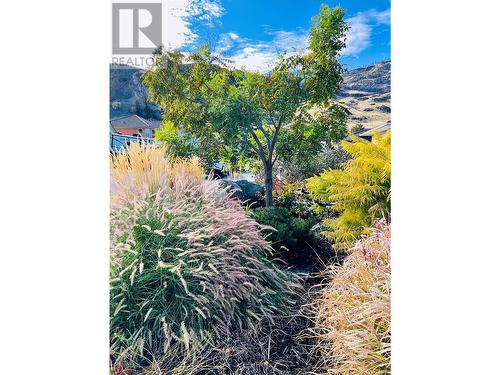 11905 Quail Ridge Place, Osoyoos, BC - Outdoor