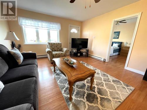 16 Rewa Avenue, Bishop'S Falls, NL - Indoor Photo Showing Living Room