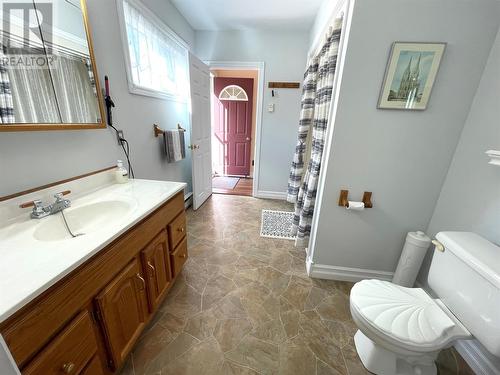 16 Rewa Avenue, Bishop'S Falls, NL - Indoor Photo Showing Bathroom