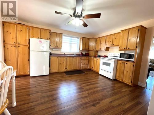 16 Rewa Avenue, Bishop'S Falls, NL - Indoor Photo Showing Kitchen With Double Sink