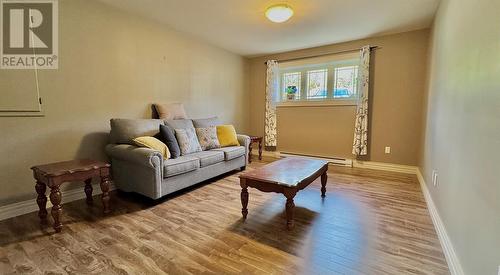 131 Spruceland Drive, Clarenville, NL - Indoor Photo Showing Living Room