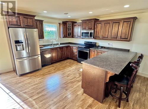 131 Spruceland Drive, Clarenville, NL - Indoor Photo Showing Kitchen With Double Sink