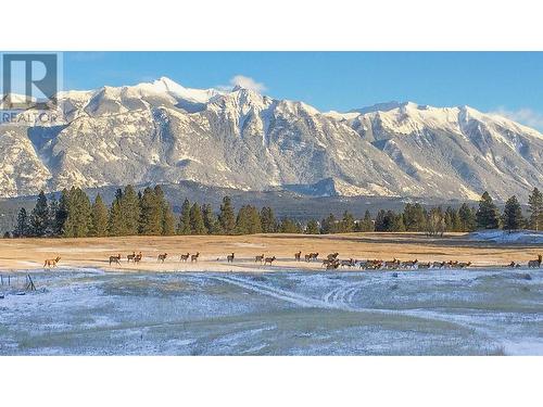 6540 Stanley Road, Ta Ta Creek, BC - Outdoor With View