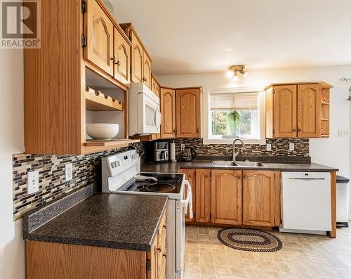 64 Sparrow Drive, Conception Bay South, NL - Indoor Photo Showing Kitchen With Double Sink