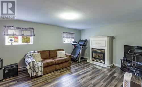 64 Sparrow Drive, Conception Bay South, NL - Indoor Photo Showing Living Room With Fireplace