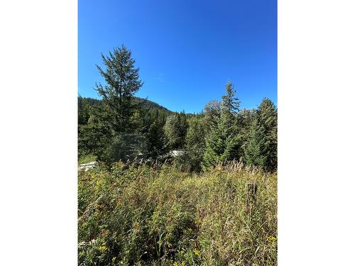 3923 Old Red Mountain Road Road, Rossland, BC 