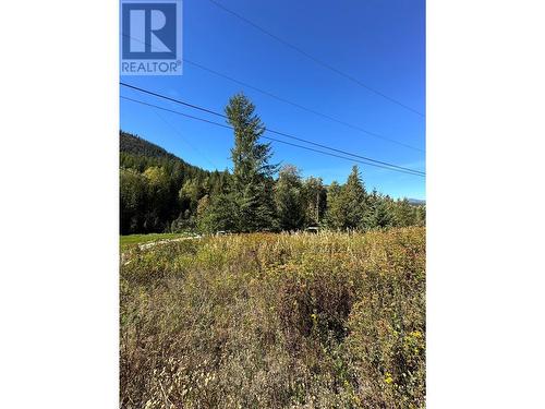 3923 Old Red Mountain Road, Rossland, BC 