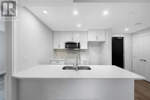 840 Wyandotte East, Windsor, ON - Indoor Photo Showing Kitchen With Double Sink With Upgraded Kitchen