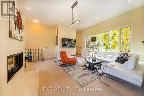 5 Birch Knoll Road, Georgina, ON - Indoor Photo Showing Living Room With Fireplace