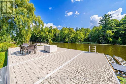 5 Birch Knoll Road, Georgina, ON - Outdoor