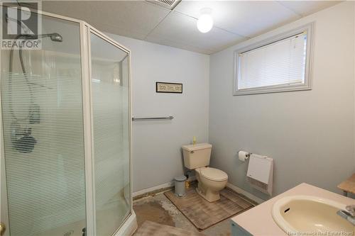 32 Rideout Street, Grand-Sault/Grand Falls, NB - Indoor Photo Showing Bathroom